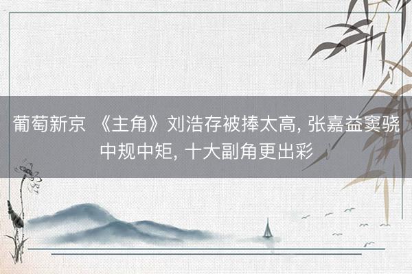 葡萄新京 《主角》刘浩存被捧太高， 张嘉益窦骁中规中矩， 十大副角更出彩