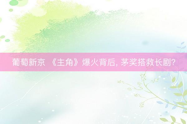 葡萄新京 《主角》爆火背后， 茅奖搭救长剧?