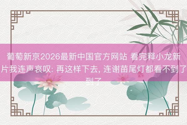 葡萄新京2026最新中国官方网站 看完释小龙新片我连声哀叹: 再这样下去， 连谢苗尾灯都看不到了