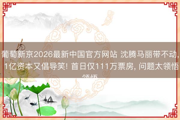 葡萄新京2026最新中国官方网站 沈腾马丽带不动， 1亿资本又倡导笑! 首日仅111万票房， 问题太领悟