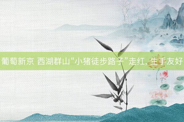 葡萄新京 西湖群山“小猪徒步路子”走红， 生手友好