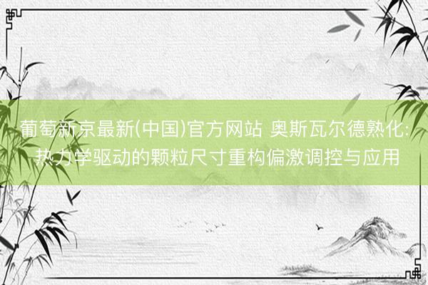 葡萄新京最新(中国)官方网站 奥斯瓦尔德熟化: 热力学驱动的颗粒尺寸重构偏激调控与应用
