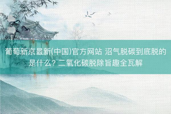 葡萄新京最新(中国)官方网站 沼气脱碳到底脱的是什么? 二氧化碳脱除旨趣全瓦解