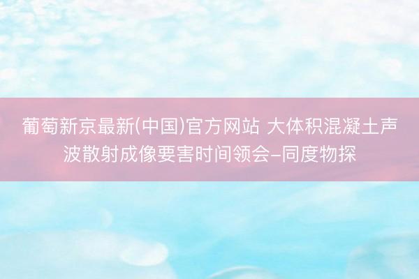 葡萄新京最新(中国)官方网站 大体积混凝土声波散射成像要害时间领会-同度物探