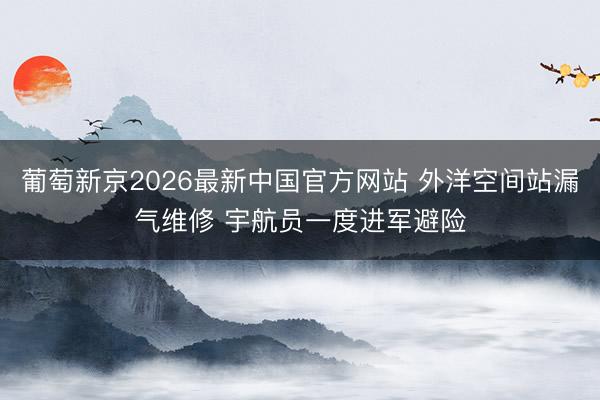 葡萄新京2026最新中国官方网站 外洋空间站漏气维修 宇航员一度进军避险