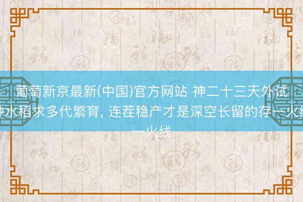 葡萄新京最新(中国)官方网站 神二十三天外试种水稻求多代繁育, 连茬稳产才是深空长留的存一火线