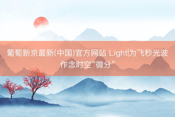 葡萄新京最新(中国)官方网站 Light|为飞秒光波作念时空“微分”