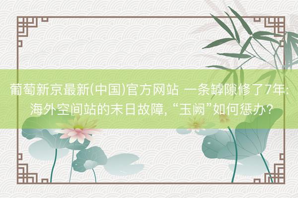 葡萄新京最新(中国)官方网站 一条罅隙修了7年: 海外空间站的末日故障， “玉阙”如何惩办?