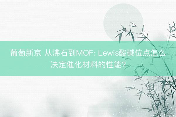 葡萄新京 从沸石到MOF: Lewis酸碱位点怎么决定催化材料的性能?