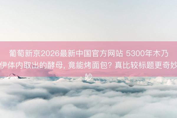 葡萄新京2026最新中国官方网站 5300年木乃伊体内取出的酵母， 竟能烤面包? 真比较标题更奇妙