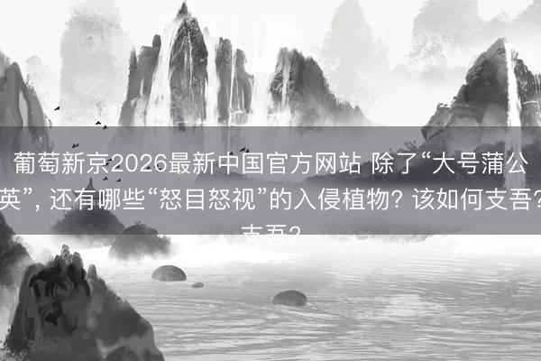 葡萄新京2026最新中国官方网站 除了“大号蒲公英”， 还有哪些“怒目怒视”的入侵植物? 该如何支吾?