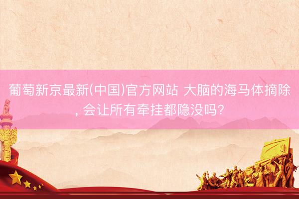 葡萄新京最新(中国)官方网站 大脑的海马体摘除， 会让所有牵挂都隐没吗?
