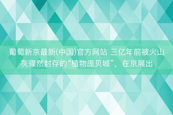 葡萄新京最新(中国)官方网站 三亿年前被火山灰骤然封存的“植物庞贝城”，在京展出