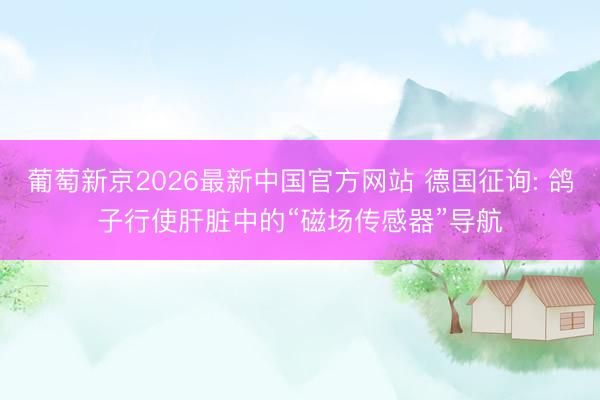 葡萄新京2026最新中国官方网站 德国征询: 鸽子行使肝脏中的“磁场传感器”导航