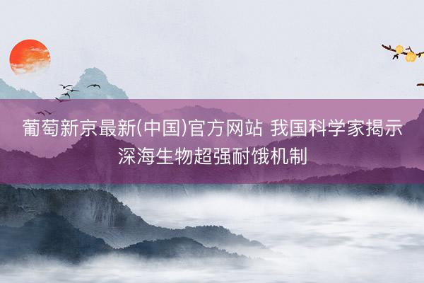 葡萄新京最新(中国)官方网站 我国科学家揭示深海生物超强耐饿机制