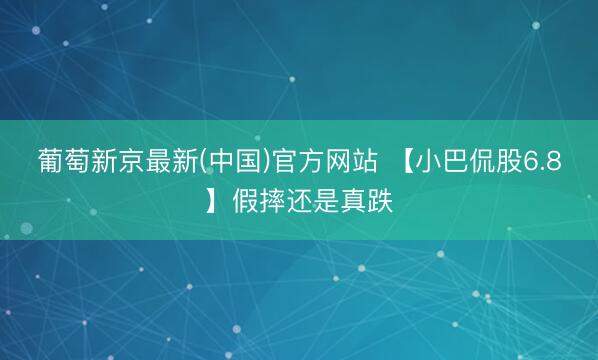 葡萄新京最新(中国)官方网站 【小巴侃股6.8】假摔还是真跌