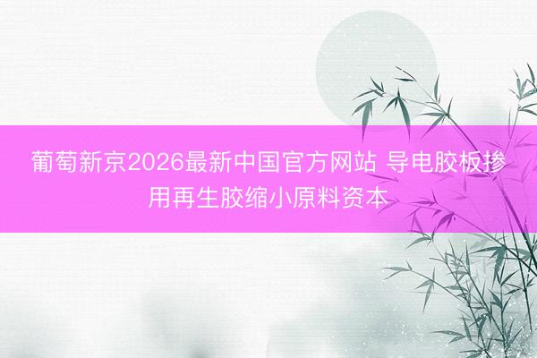 葡萄新京2026最新中国官方网站 导电胶板掺用再生胶缩小原料资本