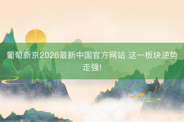 葡萄新京2026最新中国官方网站 这一板块逆势走强!