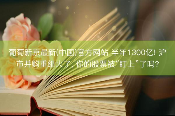 葡萄新京最新(中国)官方网站 半年1300亿! 沪市并购重组火了， 你的股票被“盯上”了吗?