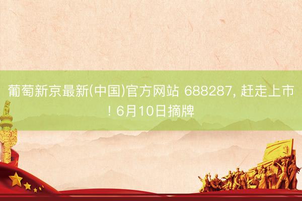 葡萄新京最新(中国)官方网站 688287， 赶走上市! 6月10日摘牌