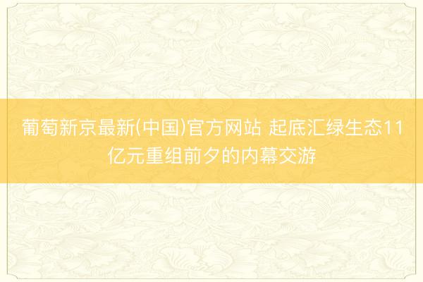 葡萄新京最新(中国)官方网站 起底汇绿生态11亿元重组前夕的内幕交游