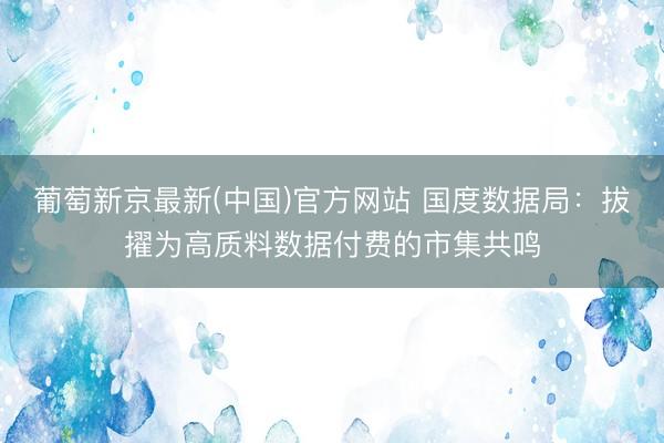 葡萄新京最新(中国)官方网站 国度数据局：拔擢为高质料数据付费的市集共鸣