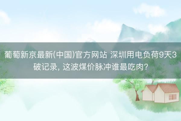 葡萄新京最新(中国)官方网站 深圳用电负荷9天3破记录， 这波煤价脉冲谁最吃肉?
