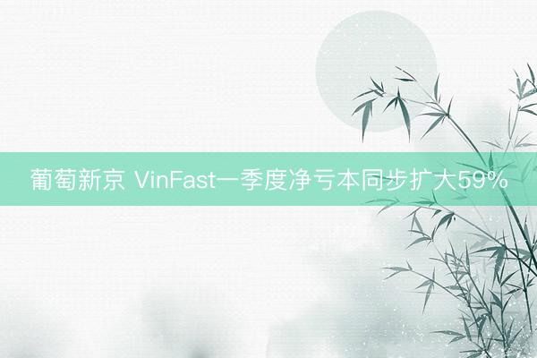 葡萄新京 VinFast一季度净亏本同步扩大59%