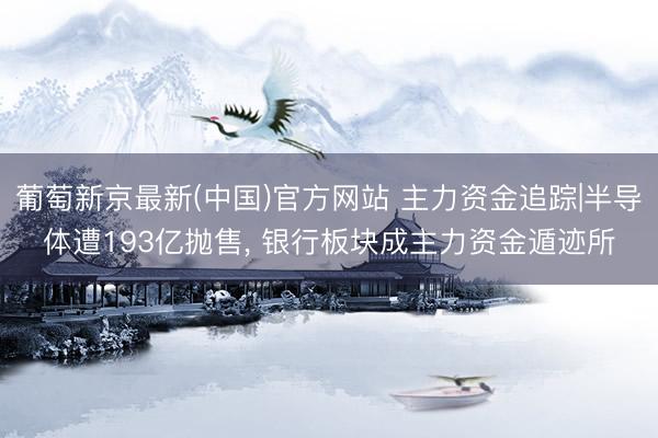 葡萄新京最新(中国)官方网站 主力资金追踪|半导体遭193亿抛售， 银行板块成主力资金遁迹所