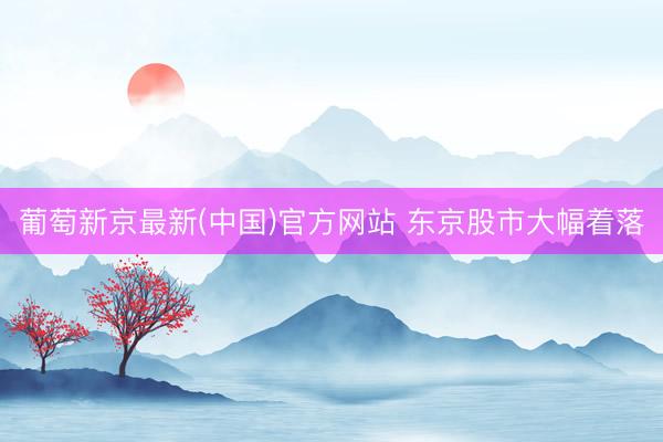 葡萄新京最新(中国)官方网站 东京股市大幅着落