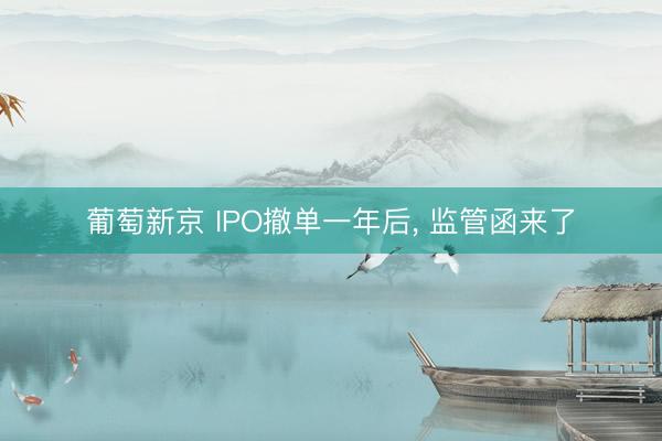 葡萄新京 IPO撤单一年后， 监管函来了