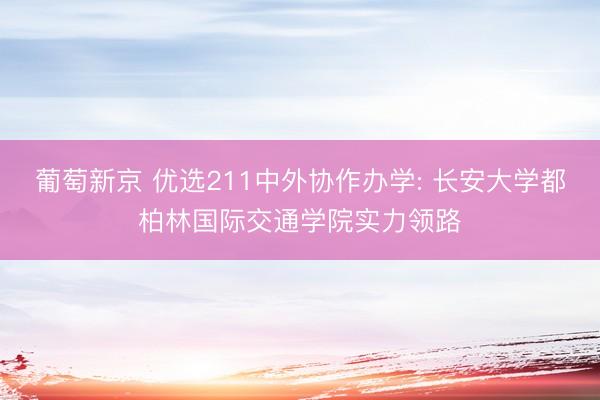 葡萄新京 优选211中外协作办学: 长安大学都柏林国际交通学院实力领路