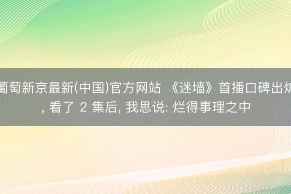 葡萄新京最新(中国)官方网站 《迷墙》首播口碑出炉, 看了 2 集后, 我思说: 烂得事理之中