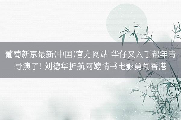 葡萄新京最新(中国)官方网站 华仔又入手帮年青导演了! 刘德华护航阿嬷情书电影勇闯香港