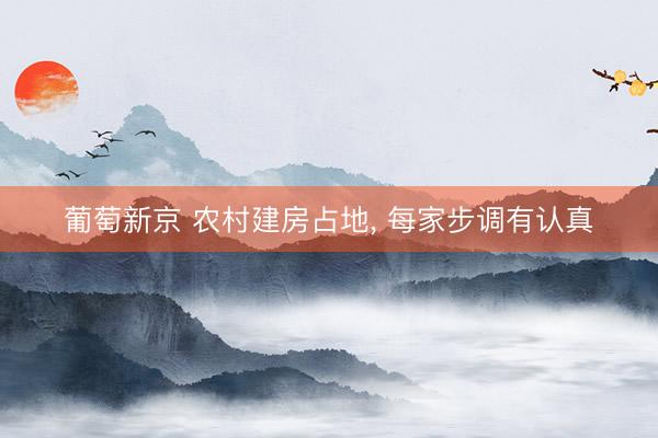 葡萄新京 农村建房占地, 每家步调有认真
