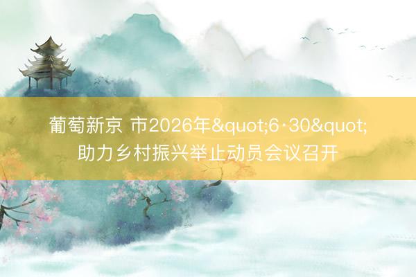 葡萄新京 市2026年"6·30"助力乡村振兴举止动员会议召开