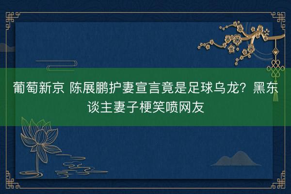 葡萄新京 陈展鹏护妻宣言竟是足球乌龙？黑东谈主妻子梗笑喷网友