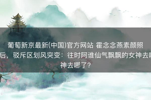 葡萄新京最新(中国)官方网站 霍念念燕素颜照流出后，驳斥区划风突变：往时阿谁仙气飘飘的女神去哪了？