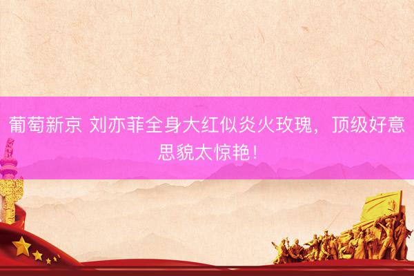 葡萄新京 刘亦菲全身大红似炎火玫瑰，顶级好意思貌太惊艳！