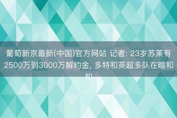 葡萄新京最新(中国)官方网站 记者: 23岁苏莱有2500万到3000万解约金， 多特和英超多队在暄和