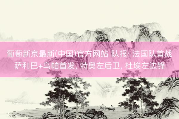 葡萄新京最新(中国)官方网站 队报: 法国队首战萨利巴+乌帕首发， 特奥左后卫， 杜埃左边锋