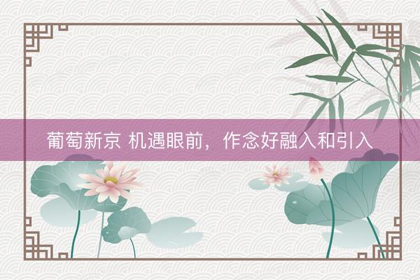 葡萄新京 机遇眼前,作念好融入和引入