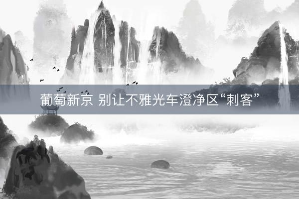 葡萄新京 别让不雅光车澄净区“刺客”