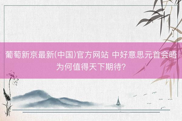 葡萄新京最新(中国)官方网站 中好意思元首会晤为何值得天下期待？