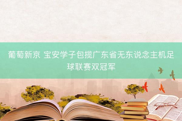 葡萄新京 宝安学子包揽广东省无东说念主机足球联赛双冠军