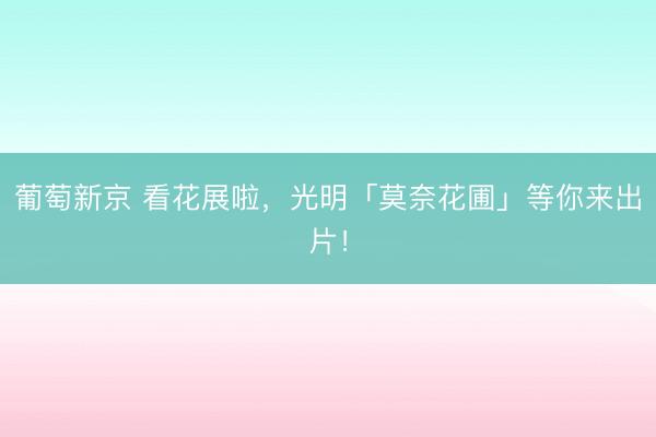 葡萄新京 看花展啦，光明「莫奈花圃」等你来出片！