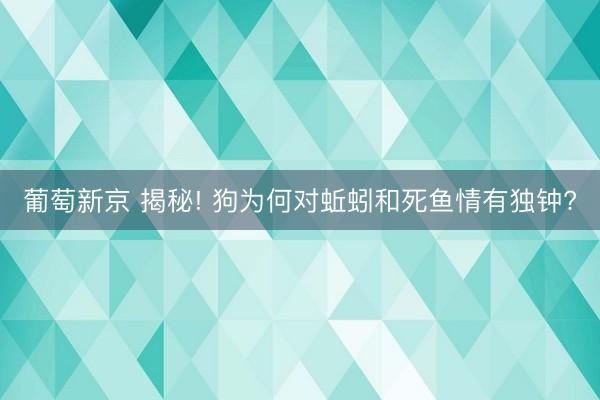 葡萄新京 揭秘! 狗为何对蚯蚓和死鱼情有独钟?