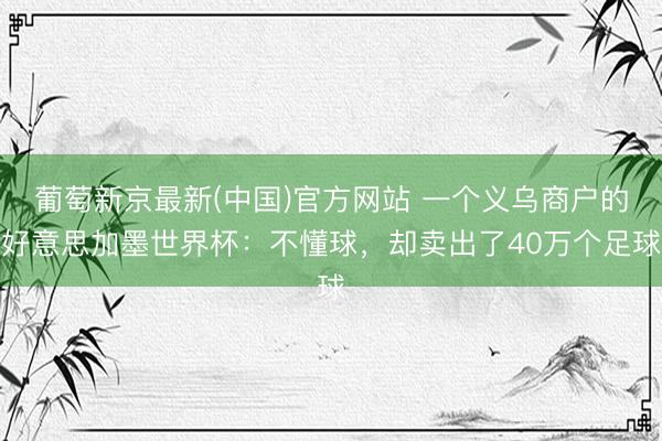 葡萄新京最新(中国)官方网站 一个义乌商户的好意思加墨世界杯：不懂球，却卖出了40万个足球