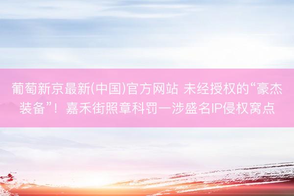 葡萄新京最新(中国)官方网站 未经授权的“豪杰装备”！嘉禾街照章科罚一涉盛名IP侵权窝点