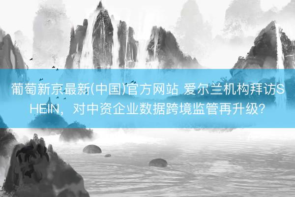 葡萄新京最新(中国)官方网站 爱尔兰机构拜访SHEIN,对中资企业数据跨境监管再升级?